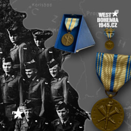 Originální medaile v etuji ARMED FORCES RESERVE
